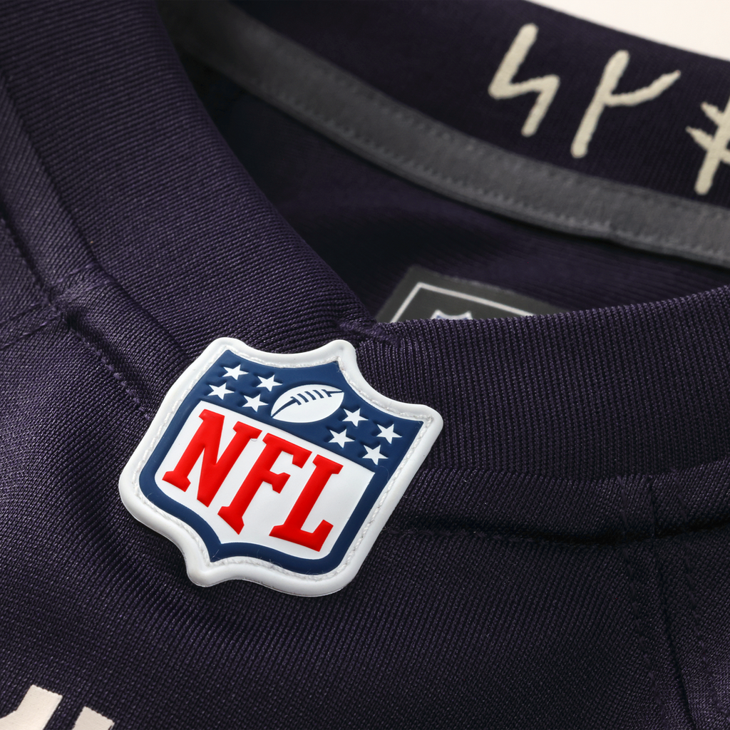 Minnesota Vikings Andrew Van Ginkel Nike Purple 2026 Rivalries Collection Game Jersey